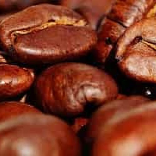 Kaffetrakter – Beste valg og kjøpeguide (2021)